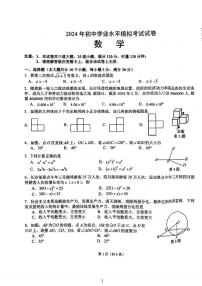 2024湖南湘江新区九年级模拟考试数学试卷及参考答案