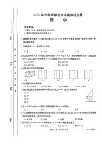 2024年广东省云浮市两县联考+中考一模考试数学试题+