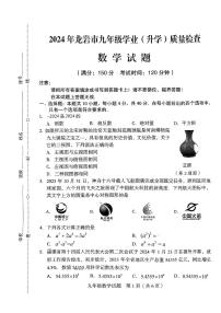 2024年福建省龙岩市中考二模数学试题