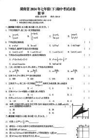 湖南省郴州市嘉禾县塘村镇中学2023-2024学年七年级下学期5月期中数学试题