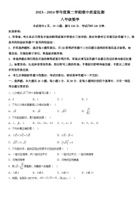 广东省阳江市江城区2023-2024学年八年级下学期期中数学试题（含解析）