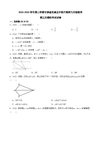 2024年甘肃省武威市凉州区武威五中联片教研九年级中考三模数学试题