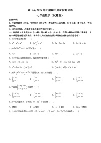 湖南省永州市蓝山县2023-2024学年七年级下学期期中数学试题