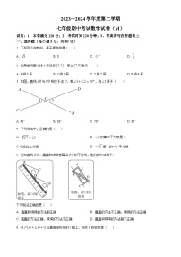 广东省汕头市金平区2023-2024学年七年级下学期期中数学试题（原卷版+解析版）