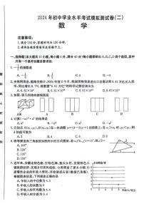 2024年安徽省阜阳市太和县中考二模数学试题