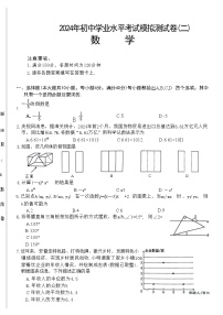 2024年安徽省阜阳市太和县中考二模数学试题