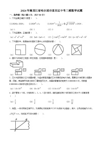 2024年黑龙江省哈尔滨市道里区中考二模数学试题