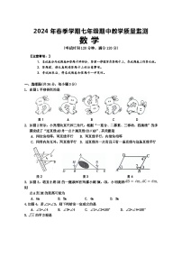 广西壮族自治区防城港市上思县2023-2024学年下学期七年级数学期中教学质量监测试卷