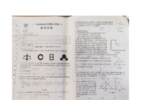 黑龙江省绥化市望奎县2023-2024学年九年级下学期5月期中数学试题