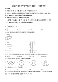 2024年广东省韶关市新丰县中考模拟数学试题（原卷版+解析版）