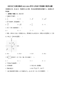 北京市汇文教育集团2023-2024学年七年级下学期期中数学试题（原卷版+解析版）