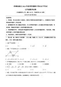 湖北省孝感市高新区2023-2024学年七年级下学期期中数学试题（原卷版+解析版）