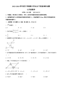 山东省临沂市临沂经济技术开发区2023-2024学年七年级下学期期中数学试题（原卷版+解析版）