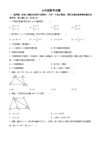 山东省淄博市周村区2023-2024学年七年级下学期期中数学试题（原卷版+解析版）