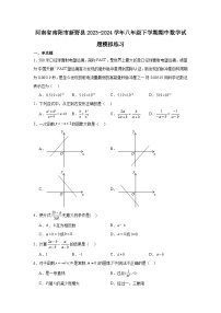 河南省南阳市新野县2023-2024学年八年级下学期期中数学试题模拟练习