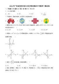 2024年广东省深圳市蛇口育才教育集团中考二模数学试题（原卷版+解析版）