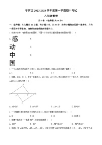 天津市宁河区2023-2024学年八年级上学期期中数学试题（原卷版+解析版）