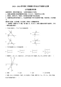 山东省聊城市阳谷县2023-2024学年七年级下学期期中数学试题（原卷版+解析版）