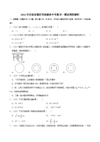 2024年河南省漯河市临颍县中考数学一模试卷附解析