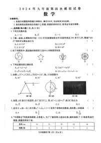 河南省周口市郸城县2023-2024学年九年级下册数学中考四模试卷
