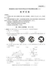 2024年陕西省西安市西咸新区中考二模数学试题