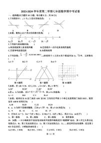 广东省湛江市 雷州市第八中学2023-2024学年八年级下学期5月期中数学试题