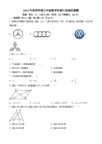 广西壮族自治区防城港市防城区2023-2024学年七年级下学期期中数学试题（原卷版+解析版）