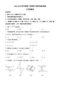 河北省保定市高碑店市2023-2024学年七年级下学期期中数学试题（原卷版+解析版）