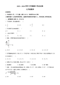 河南省新乡市长垣市2023-2024学年七年级下学期4月期中数学试题（原卷版+解析版）