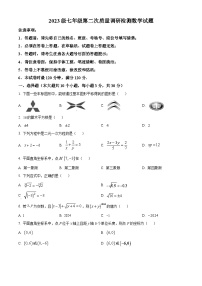 湖南省长沙市湖南师大附中教育集团2023-2024学年七年级下学期期中数学试题（原卷版+解析版）