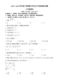 山东省临沂市罗庄区2023-2024学年八年级下学期期中数学试题（原卷版+解析版）