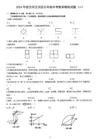 2024年武汉市江汉区九年级中考模拟数学卷（5月调考）（含答案）