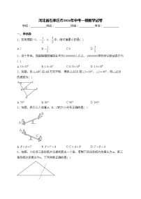 河北省石家庄市2024年中考一模数学试卷(含答案)