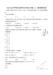 2023-2024学年四川省泸州市江阳区七年级（上）期末数学试卷（含解析）