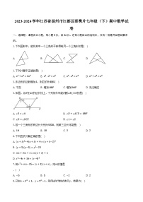 2023-2024学年江苏省扬州市江都区邵樊片七年级（下）期中数学试卷（含解析）