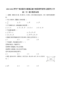 2023-2024学年广东省惠州市惠城区建中麦绍棠学校等七校联考八年级（下）期中数学试卷（含解析）