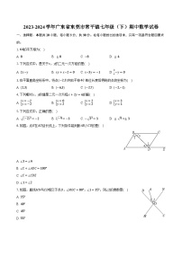 2023-2024学年广东省东莞市常平镇七年级（下）期中数学试卷（含解析）