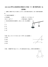 2023-2024学年山东省青岛市莱西市七年级（下）期中数学试卷（五四学制）（含解析）