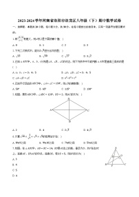 2023-2024学年河南省洛阳市洛龙区八年级（下）期中数学试卷（含解析）