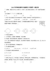 2024年河南省漯河市临颍县中考数学一模试卷（含解析）