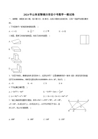 2024年山东省聊城市莘县中考数学一模试卷（含解析）