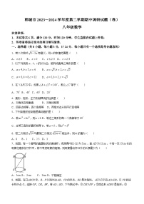 陕西省渭南市韩城市2023-2024学年八年级下学期期中数学试题(无答案)