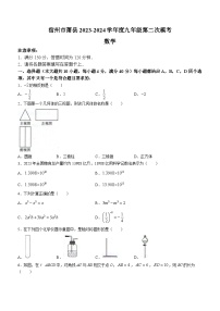 2024年安徽省宿州市萧县中考二模数学试题(无答案)