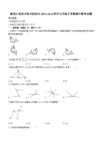 黑龙江省佳木斯市抚远市2023-2024学年七年级下学期期中数学试题(无答案)