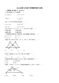 黑龙江省哈尔滨市虹桥初级中学校2023-2024学年七年级下学期期中数学试题(含答案)