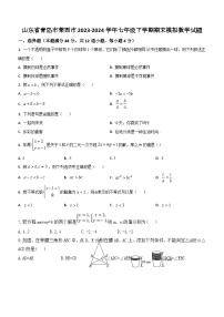 山东省青岛市莱西市2023-2024学年七年级下学期期末模拟数学试题(无答案)