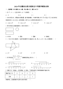 2024年安徽省合肥市瑶海区中考数学模拟试卷