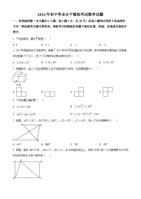 2024年江西省吉安市青原区中考一模数学试题（原卷版+解析版）