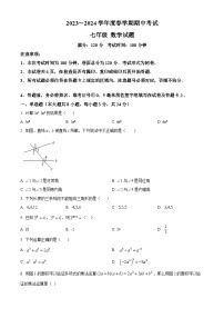 江苏省盐城市东台市第五联盟2023-2024学年七年级下学期期中数学试题（原卷版+解析版）