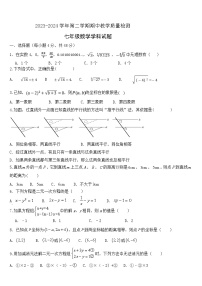 山东省宁津县大庄中学2023-2024学年下学期期中考试七年级数学试题+